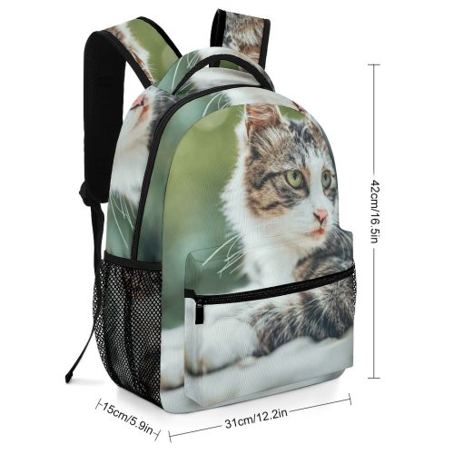 yanfind Children's Backpack Pet Outdoors Kitten Portrait Wildlife Cute Little Staring Furry Cat  Whisker Preschool Nursery Travel Bag