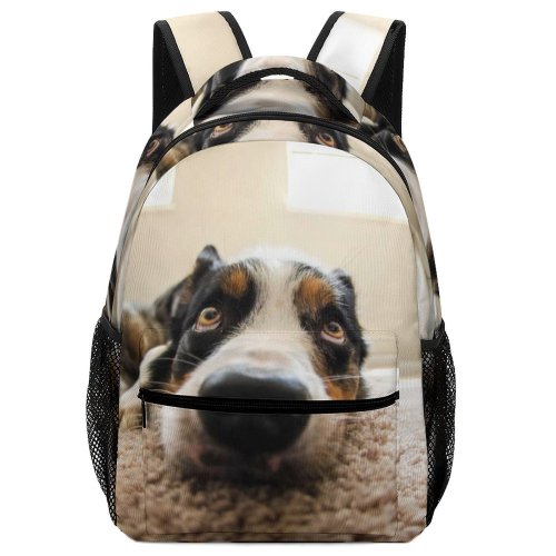 yanfind Children's Backpack Funny Sit Cute Window Love Cat Baby Sleep  Studio Puppy Family Preschool Nursery Travel Bag