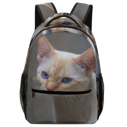 yanfind Children's Backpack Young Pet Funny Kitten Portrait Wildlife Curiosity Cute Little Staring Cat Preschool Nursery Travel Bag