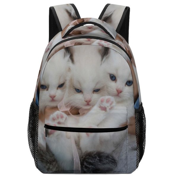 yanfind Children's Backpack  Focus Beautiful Cats Little Fur Downy Mammals Funny Kittens Adorable Cute Preschool Nursery Travel Bag