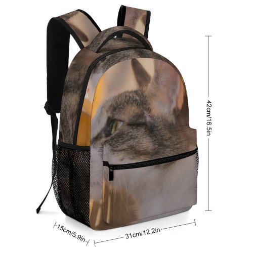 yanfind Children's Backpack Decor Pet Free Pictures Home Abyssinian Cat Images Manx Preschool Nursery Travel Bag