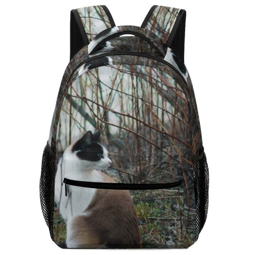 yanfind Children's Backpack Outdoors Daylight Cat Wild Grass Fur Whiskers Wildlife Snow Preschool Nursery Travel Bag