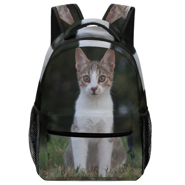 yanfind Children's Backpack Outdoors Cat Eyes Grass Face Pet Fur Whiskers Preschool Nursery Travel Bag