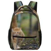 yanfind Children's Backpack Outdoors Cute Cat Little Adorable Tabby Kitten Pet Whiskers Outside Preschool Nursery Travel Bag