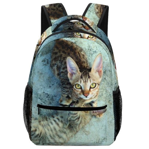 yanfind Children's Backpack Funny Cute Little Young  Portrait Staring Stripe Kitten Pet Fur Wild Preschool Nursery Travel Bag