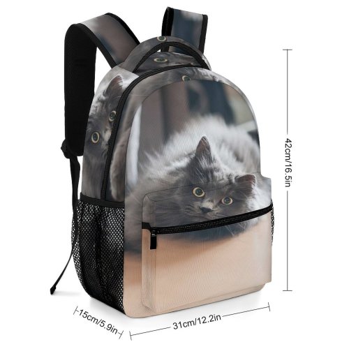 yanfind Children's Backpack Funny Curiosity Sit Cute Baby Young  Family Kitten Whisker Fur Portrait Preschool Nursery Travel Bag