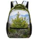 yanfind Children's Backpack Landscape Abies Plant Wilderness Pictures Nm Outdoors Taos Tree Southwest Preschool Nursery Travel Bag
