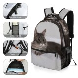 yanfind Children's Backpack Fluffy Scare Cotton Kitten Cat Wool Bed Wallpapers Manx Images Preschool Nursery Travel Bag