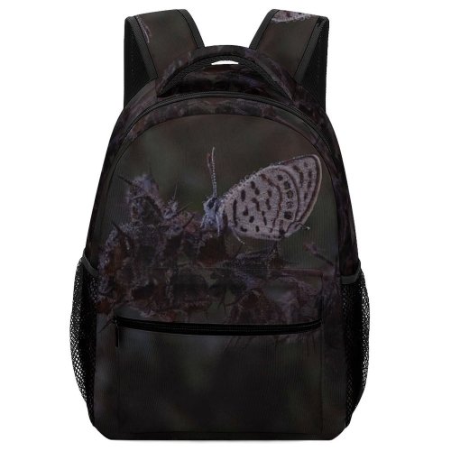 yanfind Children's Backpack Bhavnagar Plant Vegetation Invertebrate Insect Butterfly Grey Photo Outdoors Creative Commons Preschool Nursery Travel Bag