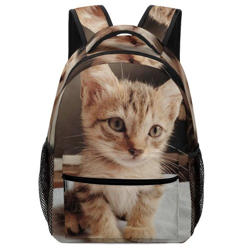 yanfind Children's Backpack Funny Sit Cute Sleep Baby Young Little  Kitten Whisker Downy Fur Preschool Nursery Travel Bag