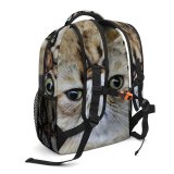 yanfind Children's Backpack  Pet Россия Pictures Kitten Grey Free Cat Moscow Images Wallpapers Preschool Nursery Travel Bag