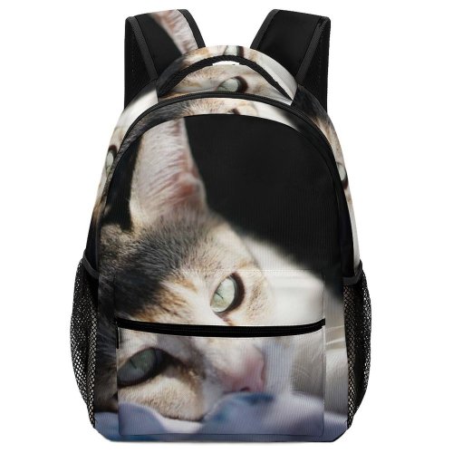 yanfind Children's Backpack Funny Curiosity Cute Sleep Little Young  Studio Siamese Kitten Whisker Fur Preschool Nursery Travel Bag