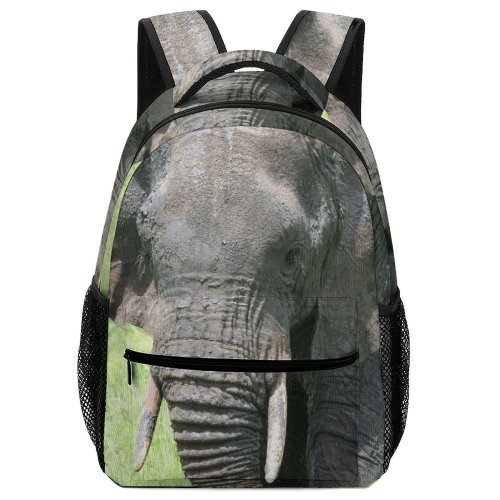 yanfind Children's Backpack Elephant Africa Safari Jungle Elephants Mammoths Terrestrial Vertebrate Wildlife Indian Grass Preschool Nursery Travel Bag