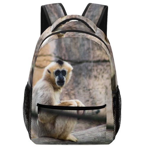yanfind Children's Backpack Cheek Place Wildlife Gibbon Mouth Monkey  Prentiss Primate Baboon Preschool Nursery Travel Bag