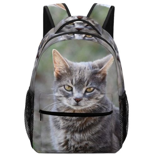 yanfind Children's Backpack Grass Grey Pet Outdoors Kitten Portrait Wildlife Cute Staring Cat  Whisker Preschool Nursery Travel Bag