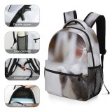 yanfind Children's Backpack Kitty Grey Pet Felidae Whiskers Cute Focus  Adorable Furry Cat Fur Preschool Nursery Travel Bag