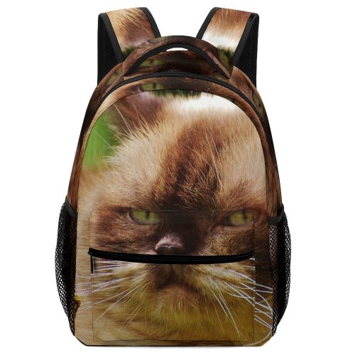 yanfind Children's Backpack Funny Cute Cat Adorable Tabby Kitty Kitten Pet Whisker Fur Sweet Preschool Nursery Travel Bag