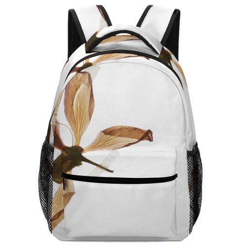 yanfind Children's Backpack  Beautiful Delicate Flowers Artistic  Notebook Still Wildlife Outdoors Dried Artwork Preschool Nursery Travel Bag