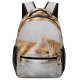 yanfind Children's Backpack Funny Winter Curiosity Sit Cute Cat Young Little  Portrait Kitten Whisker Preschool Nursery Travel Bag