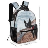 yanfind Children's Backpack Dog Pet  Bull Strap Pictures Free Stock Images Boston Preschool Nursery Travel Bag