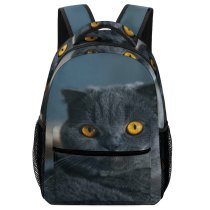 yanfind Children's Backpack Grey Pet Funny Kitten Portrait Curiosity Cute Little Staring Sit Cat Preschool Nursery Travel Bag