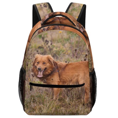 yanfind Children's Backpack Dog Field Autumn Vertebrate Canidae Carnivore Golden Sporting Scotia Duck Tolling Hovawart Preschool Nursery Travel Bag