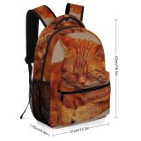 yanfind Children's Backpack Young Studio Pet Mat Felidae Tabby Sweet Whiskers Cute Focus  Adorable Preschool Nursery Travel Bag