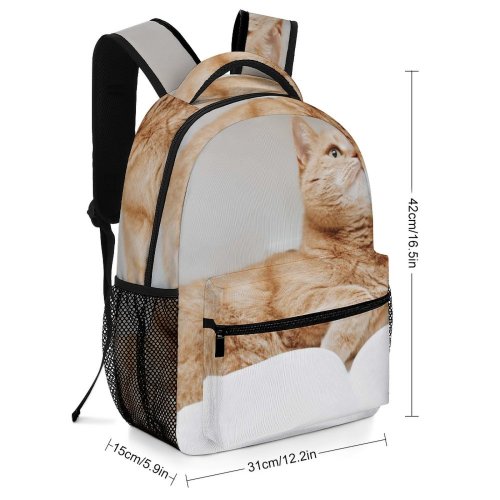 yanfind Children's Backpack Funny Curiosity Sit Cute Little Young  Studio Portrait Family Kitten Whisker Preschool Nursery Travel Bag