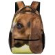 yanfind Children's Backpack Images Hound Dog Stock Pictures Beagle Free Pet Preschool Nursery Travel Bag