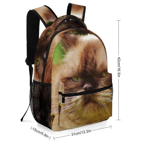 yanfind Children's Backpack Funny Cute Cat Adorable Tabby Kitty Kitten Pet Whisker Fur Sweet Preschool Nursery Travel Bag