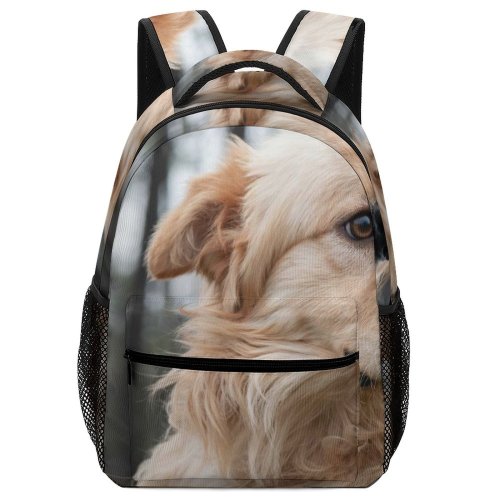 yanfind Children's Backpack Creative Images Golden Dog Pictures Pet Puppies Commons Preschool Nursery Travel Bag