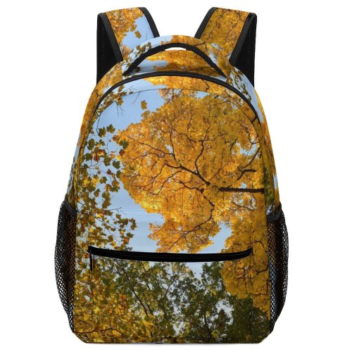 yanfind Children's Backpack Flora Tree Sky Birch Leaves Plant Sycamore Woodland Fall Crailsheim Preschool Nursery Travel Bag