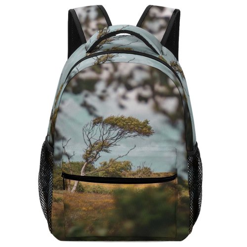 yanfind Children's Backpack Landscape Savanna Lonely Plant Trunk Slufter Storm Pictures Grassland Cocksdorp Outdoors Preschool Nursery Travel Bag