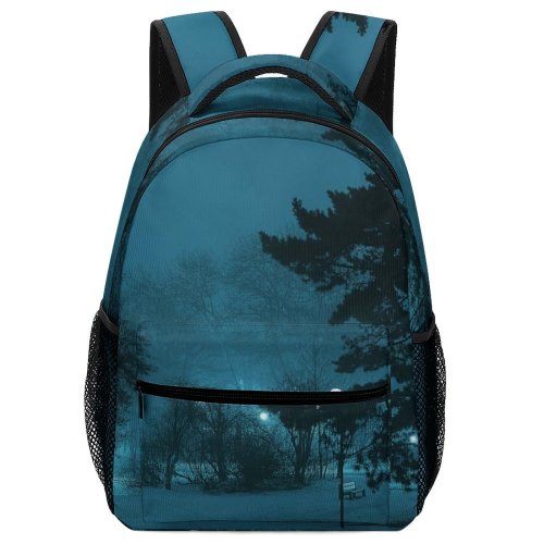 yanfind Children's Backpack Frozen Tree Park Winter Fog Dark Branch Lamp Season Landscape Light Mist Preschool Nursery Travel Bag