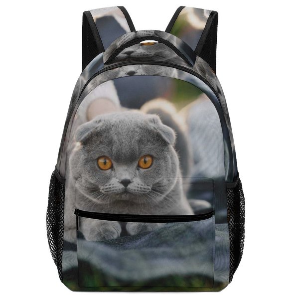 yanfind Children's Backpack Lazy Young Grey Pet Outdoors Family Portrait Cute Love Little Sleep Cat Preschool Nursery Travel Bag