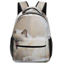 yanfind Children's Backpack Funny Cute Cat Crazy Eyes Little Adorable Kitty Furry Grey Pet Fur Preschool Nursery Travel Bag
