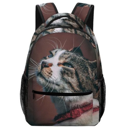 yanfind Children's Backpack Funny Cute  Portrait Staring Kitten Grey Pet Face Nose Fur Whisker Preschool Nursery Travel Bag