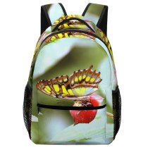yanfind Children's Backpack Butterfly Insect Invertebrate Plant  Forest Mariposa Monarch Photo Leaf Preschool Nursery Travel Bag
