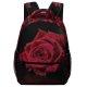 yanfind Children's Backpack Darkandlight Rose Plant Pictures Cute Canonphotography Stock Youngphotographer Light Free Flower Preschool Nursery Travel Bag