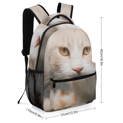 yanfind Children's Backpack Young Pet Funny Kitten Portrait Curiosity Cute Little Staring Sit Cat Eye_ Preschool Nursery Travel Bag