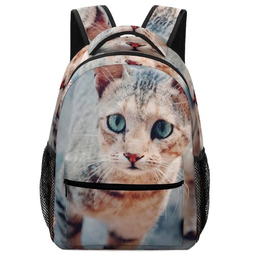 yanfind Children's Backpack Rock Baby Eyes Young Kitty Pet Outdoors Kitten Portrait Tabby Cute Little Preschool Nursery Travel Bag
