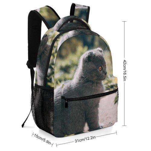 yanfind Children's Backpack Pet Outdoors Felidae Tabby Whiskers Outside Field Cute Focus  Adorable Furry Preschool Nursery Travel Bag