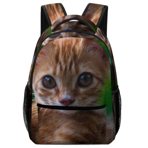 yanfind Children's Backpack Funny Curiosity Cute Cat Baby Little  Staring Tabby Pet Whisker Downy Preschool Nursery Travel Bag