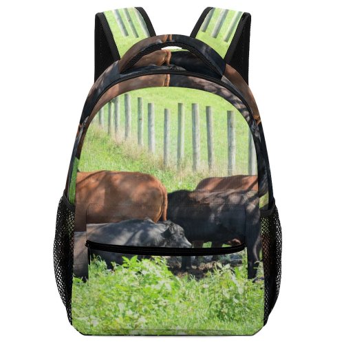 yanfind Children's Backpack Cattle Cow Grassland Field Outdoors Bull Angus Countryside Farm Rural Meadow Pasture Preschool Nursery Travel Bag