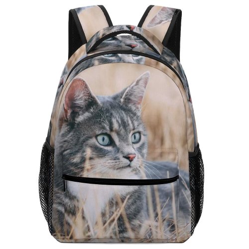 yanfind Children's Backpack Young Grass Pet Outdoors Kitten Portrait Wildlife Field Curiosity Cute Cat Preschool Nursery Travel Bag