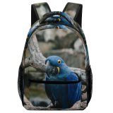yanfind Children's Backpack Birds Parrot Macaw Beak Nashville United States Jay Bluebird Outdoor Wild Wildlife Preschool Nursery Travel Bag