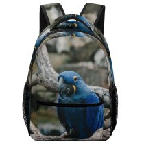 yanfind Children's Backpack Birds Parrot Macaw Beak Nashville United States Jay Bluebird Outdoor Wild Wildlife Preschool Nursery Travel Bag