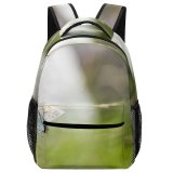 yanfind Children's Backpack Butterfly Insect Invertebrate Photo Stock Preschool Nursery Travel Bag