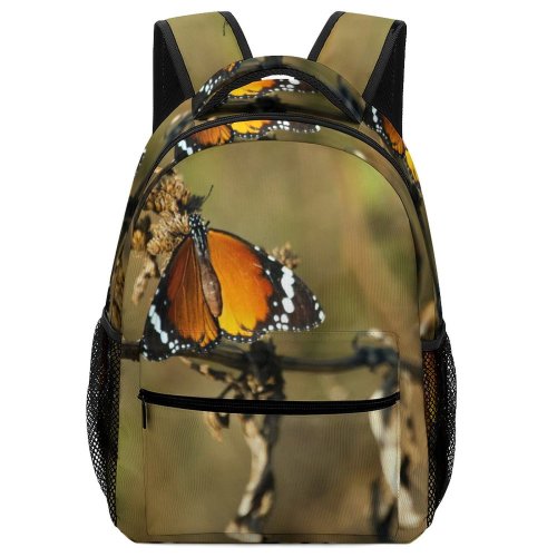 yanfind Children's Backpack Butterfly Insect Africa Invertebrate Monarch Kwazulu Natal Arachnid  Grassland Safari Photo Preschool Nursery Travel Bag