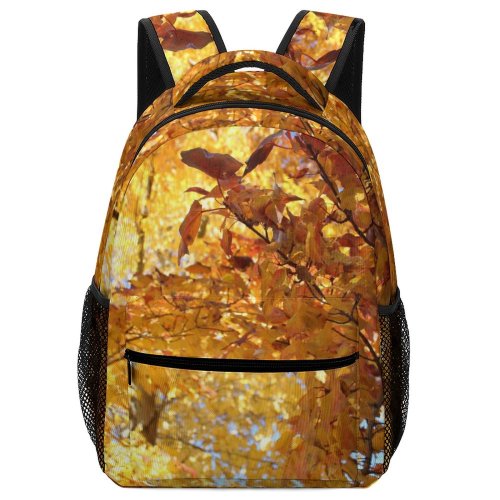 yanfind Children's Backpack Foliage September October Tree Leaves Sunlight Domain Plant Leaf November Public Preschool Nursery Travel Bag